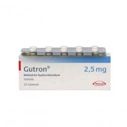 Гутрон таблетки 2,5 мг. №20 в Сочи и области фото